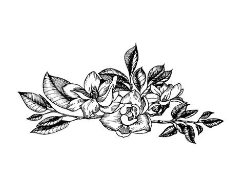 Composition in engraving style Illustrazione stock