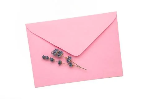 Composition with envelope and beautiful flowers isolated on white background Stock Photos