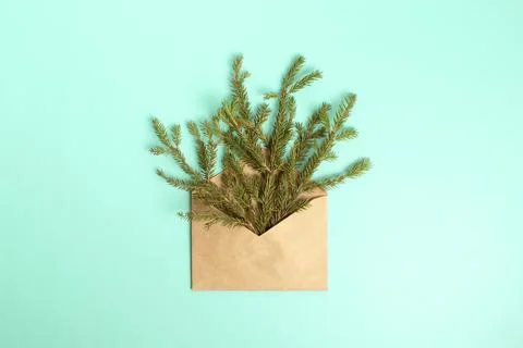 Composition with envelope, coniferous branches Stock Photos