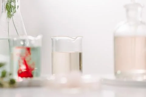 Composition with essential oils and flowers on table Stock Photos
