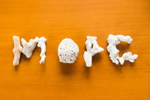 Composition of exotic sea shells and starfish on a background Stock Photos