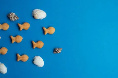Composition of exotic sea shells and fish crackers on a blue background. Sea  Stock Photos