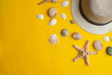 Composition of exotic sea shells with panama hat on a yellow background. Summ Stock Photos