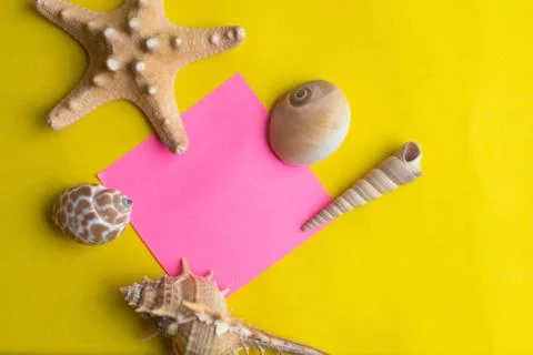 Composition of exotic sea shells on a yellow background. Summer concept. Top  Stock Photos
