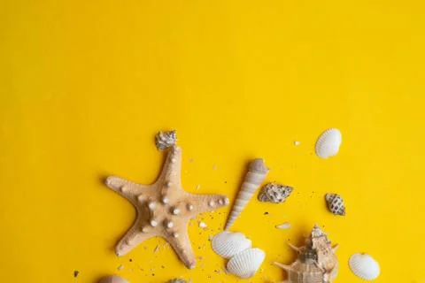 Composition of exotic sea shells on a yellow background. Summer concept. Top  Stock Photos