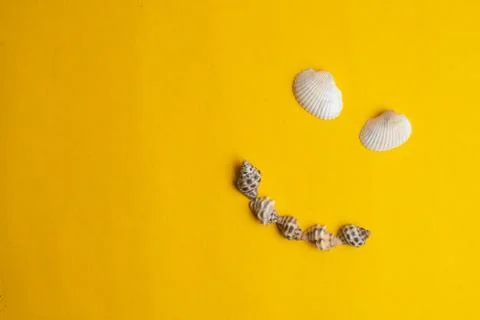 Composition of exotic sea shells on a yellow and background. Summer concept.  Stock Photos