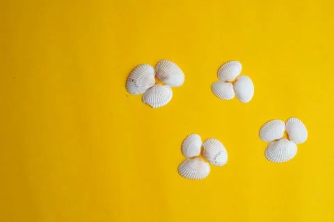 Composition of exotic sea shells on a yellow background. Summer concept. Top  Stock Photos
