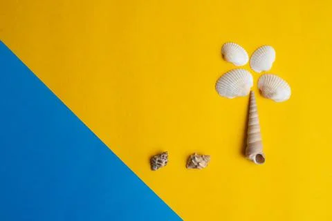 Composition of exotic sea shells on a yellow and blue background. Summer, sea Stock Photos