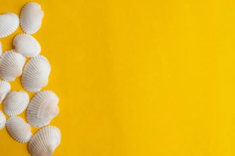 Composition of exotic sea shells on a yellow  background. Summer concept.  To 스톡 사진