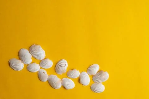 Composition of exotic sea shells on a yellow background. Summer concept. Top  Stock Photos