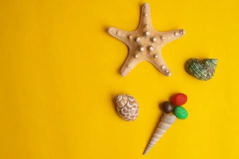 Composition of exotic sea shells on a yellow background. Ice cream concept. T Stock Photos