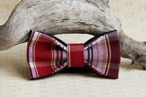 Composition: Extravagant checkered red with a black bow tie, wooden stick curve Stock Photos