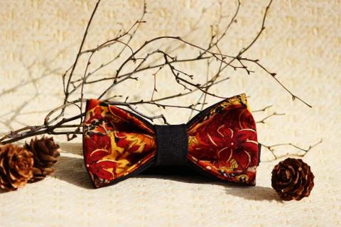 Composition: Extravagant red with black small pattern bow tie and thin twigs on Stock Photos