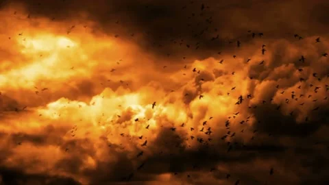 Composition features a dramatic evening sky and a flock of black crows Stock Footage 160664121