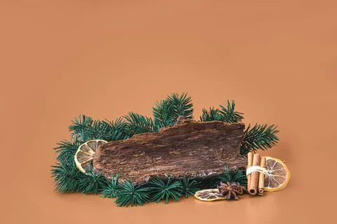 Composition of fir tree branches, tree bark and dried spices Stock Photos