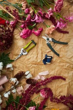 Composition flat-lay of flowers and florists instruments on parchment paper Stock Photos
