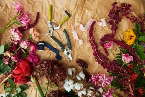 Composition flat-lay of flowers and florists instruments on parchment paper Stock Photos