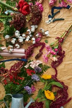 Composition flat-lay of flowers and florists instruments on parchment paper Stock Photos