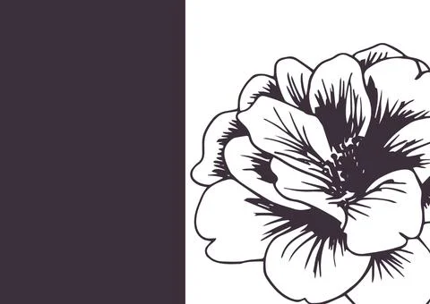Composition of flower over black and white background Ilustração Stock