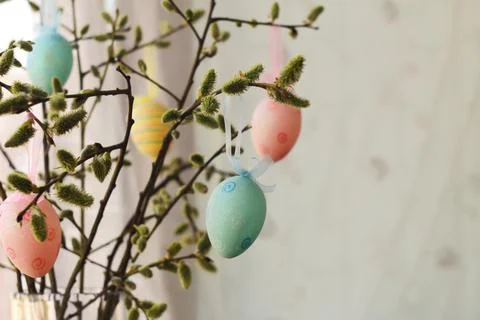 Composition of flowering willow and Easter eggs Stock Photos