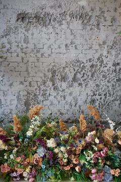 Composition of flowers against the background of a gray wall. Floristics in the Stock Photos