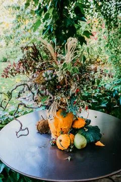 Composition of flowers and pumpkins on a black table. Stock Photos