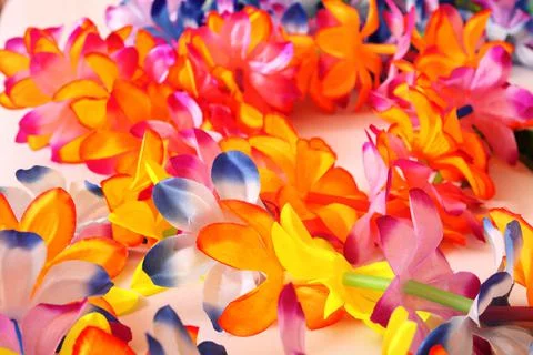 Composition of flowers and shells. Paraphernalia, environment Thai, Hawaiian  Stock Photos