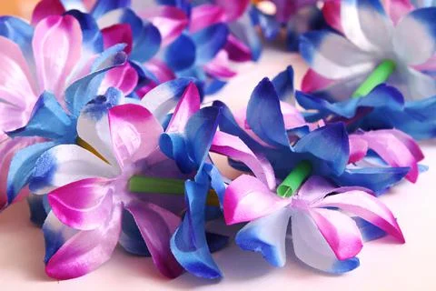 Composition of flowers and shells. Paraphernalia, environment Thai, Hawaiian  Foto stock