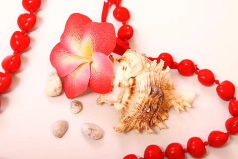 Composition of flowers and shells. Paraphernalia, environment Thai, Hawaiian  Stock Photos