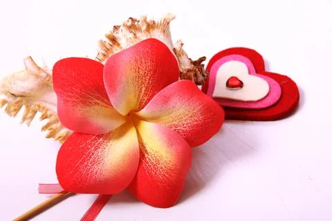 Composition of flowers and shells. Paraphernalia, environment Thai, Hawaiian  Stock Photos