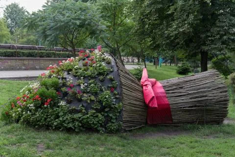 Composition of flowers and tree trunks in the form of a recumbent bouquet Stock Photos