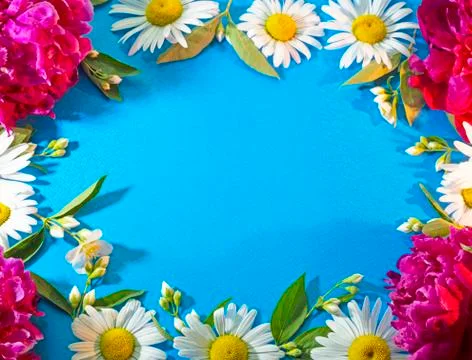 Composition of flowers on a blue background Stock Photos