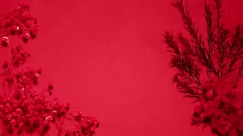 Composition of flowers, candles on pink background with water waves top view 스톡 동영상 256683922