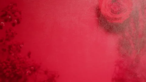 Composition of flowers, candles on pink background with water waves top view Stock Footage 278916645