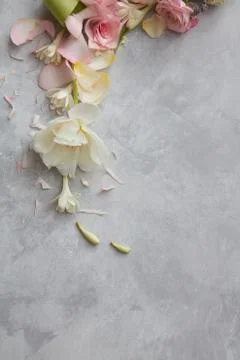 Composition of flowers with copy space Fotos de archivo