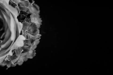 Composition of flowers in neon light Foto stock