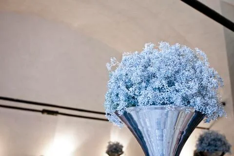 Composition flowers Stock Photos