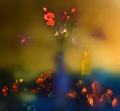 Composition of  flowers Stock Photos