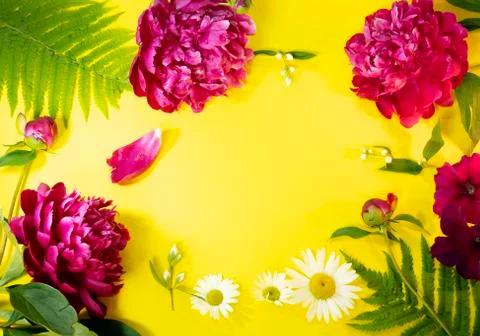 Composition of flowers on a yellow background Stock Photos