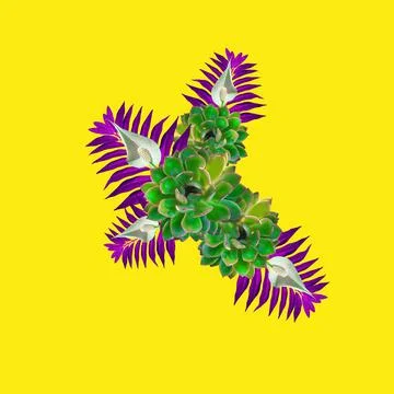 Composition of flowers on a yellow background. Summer, holiday concept. Stock Photos