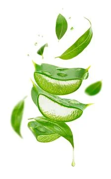 Composition of flying tea leaves and aloe vera isolated on white background. Stock Photos
