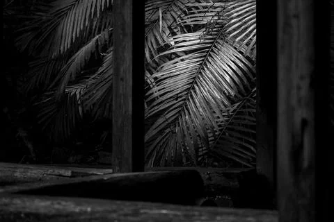 Composition of the foreground pavilion and the background leaves Stock Photos