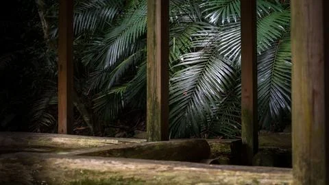 Composition of the foreground pavilion and the background leaves Stock Photos
