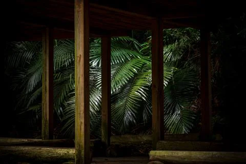 Composition of the foreground pavilion and the background leaves Stock Photos