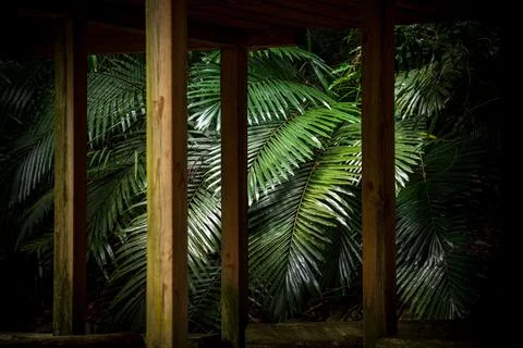 Composition of the foreground pavilion and the background leaves Stock Photos