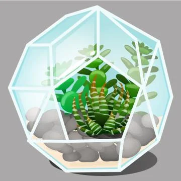 Composition in the form of a glass terrarium multi-faceted forms with stones and Stock Illustration