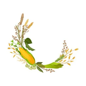 Composition in the form of a half ring of ears of corn and corn. Vector Stock Illustration