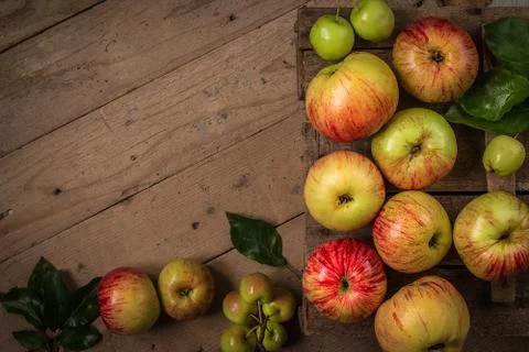 Composition with fresh apples on rustic  table Stock Photos