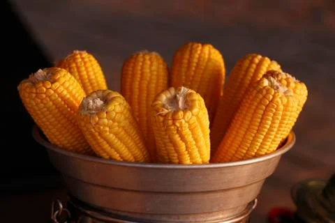 Composition with fresh corn cobs on tray Stock Photos