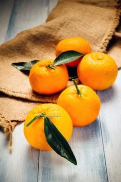 Composition of fresh mandarins Stock Photos